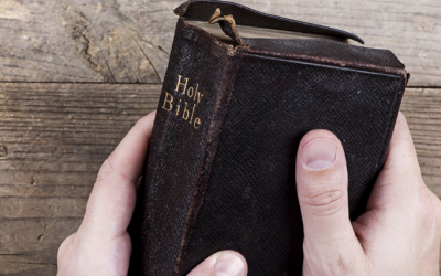 Read The Bible Online