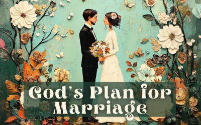 Single & Marriage