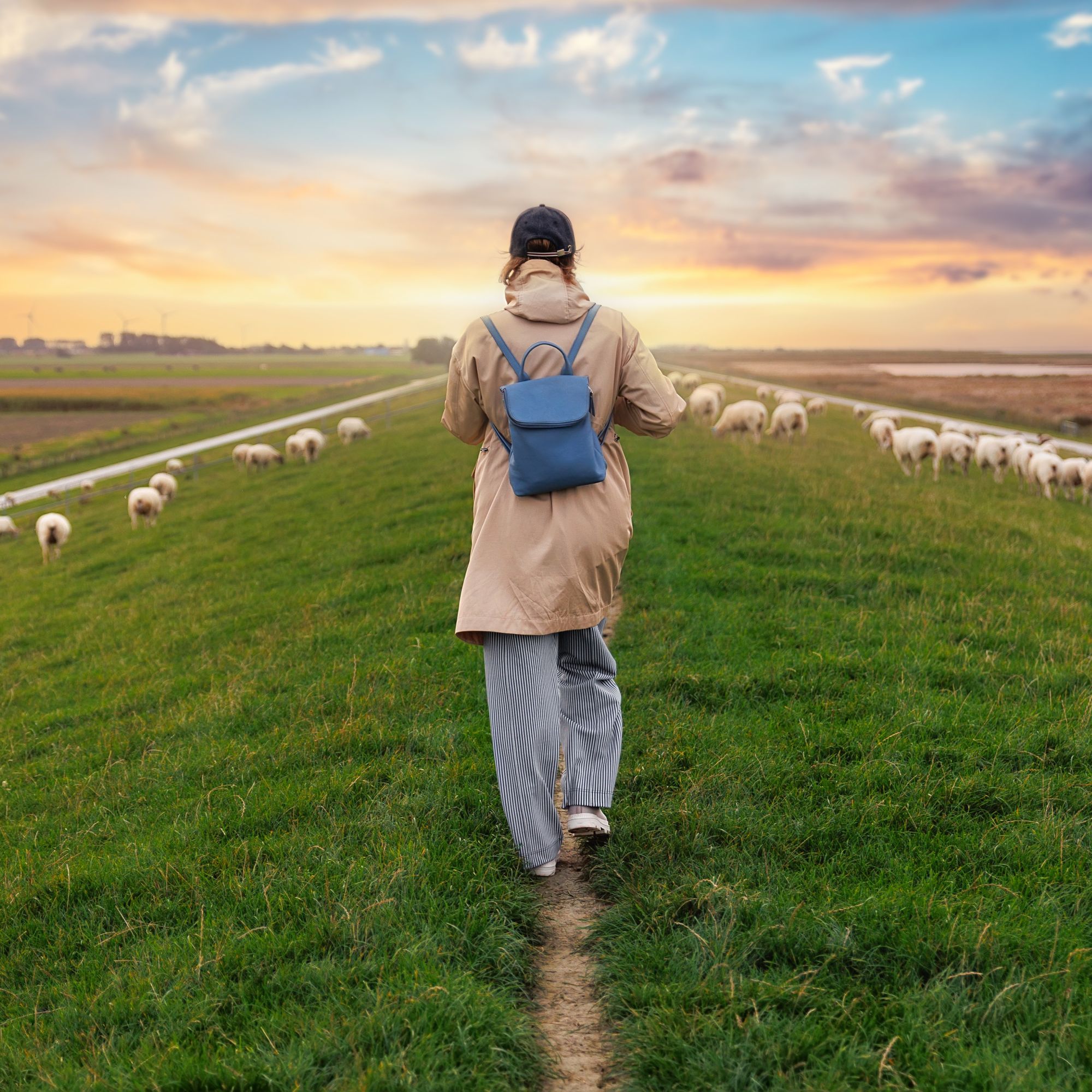 woman-walking-many-grazing-sheep-herd-scene-dike-g-2025-01-10-12-53-11-utc