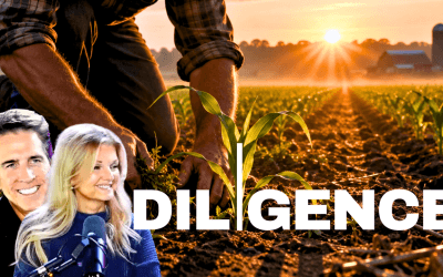 Diligence